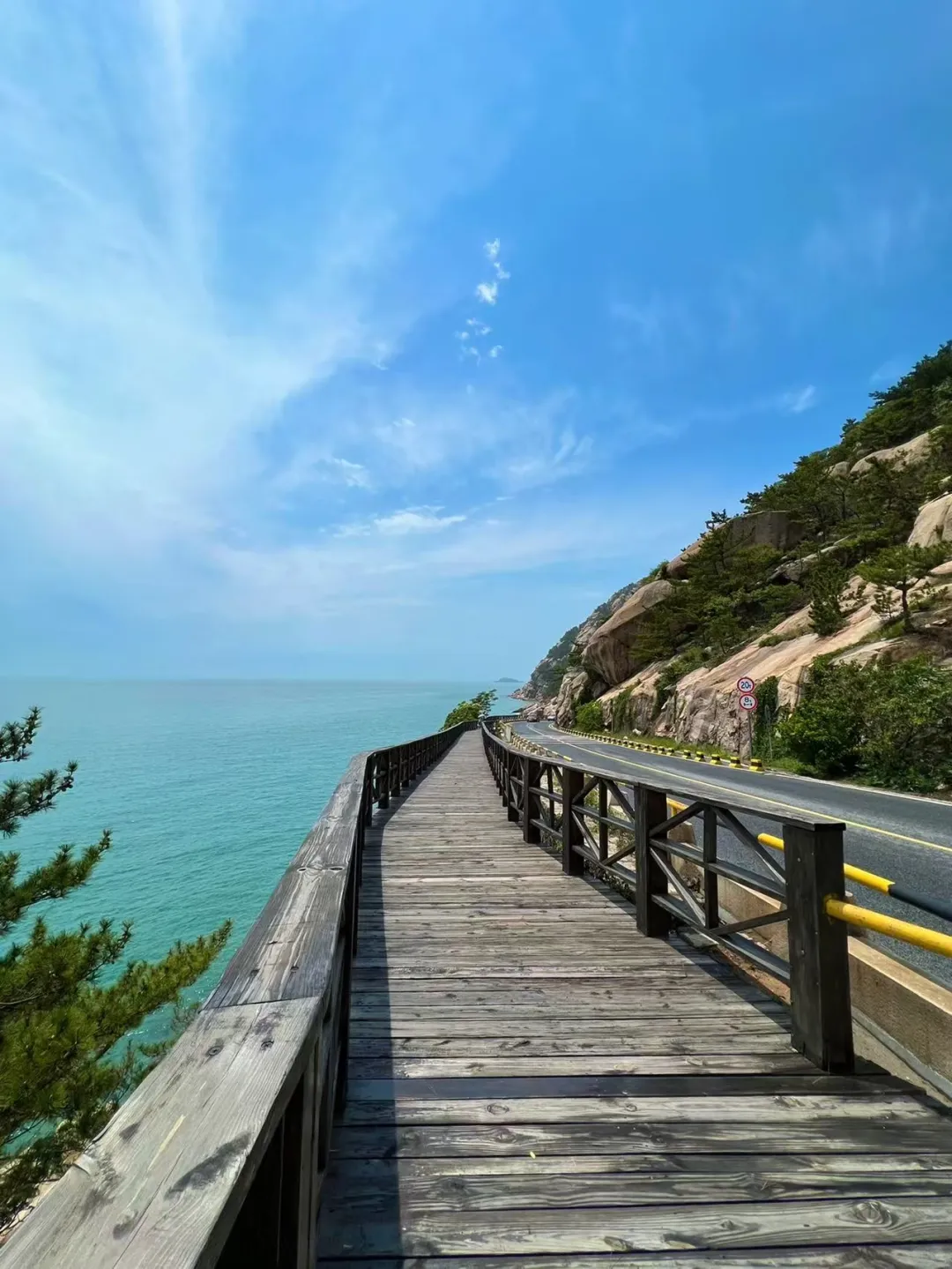 春节青岛👉本地人旅游攻略（最新出炉）节目单