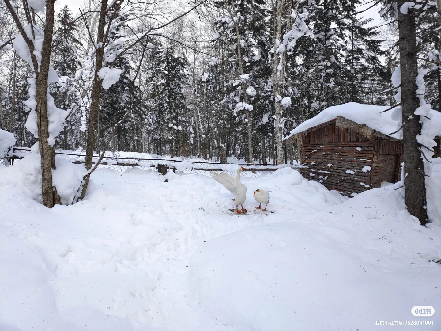 哈尔滨旅游攻略