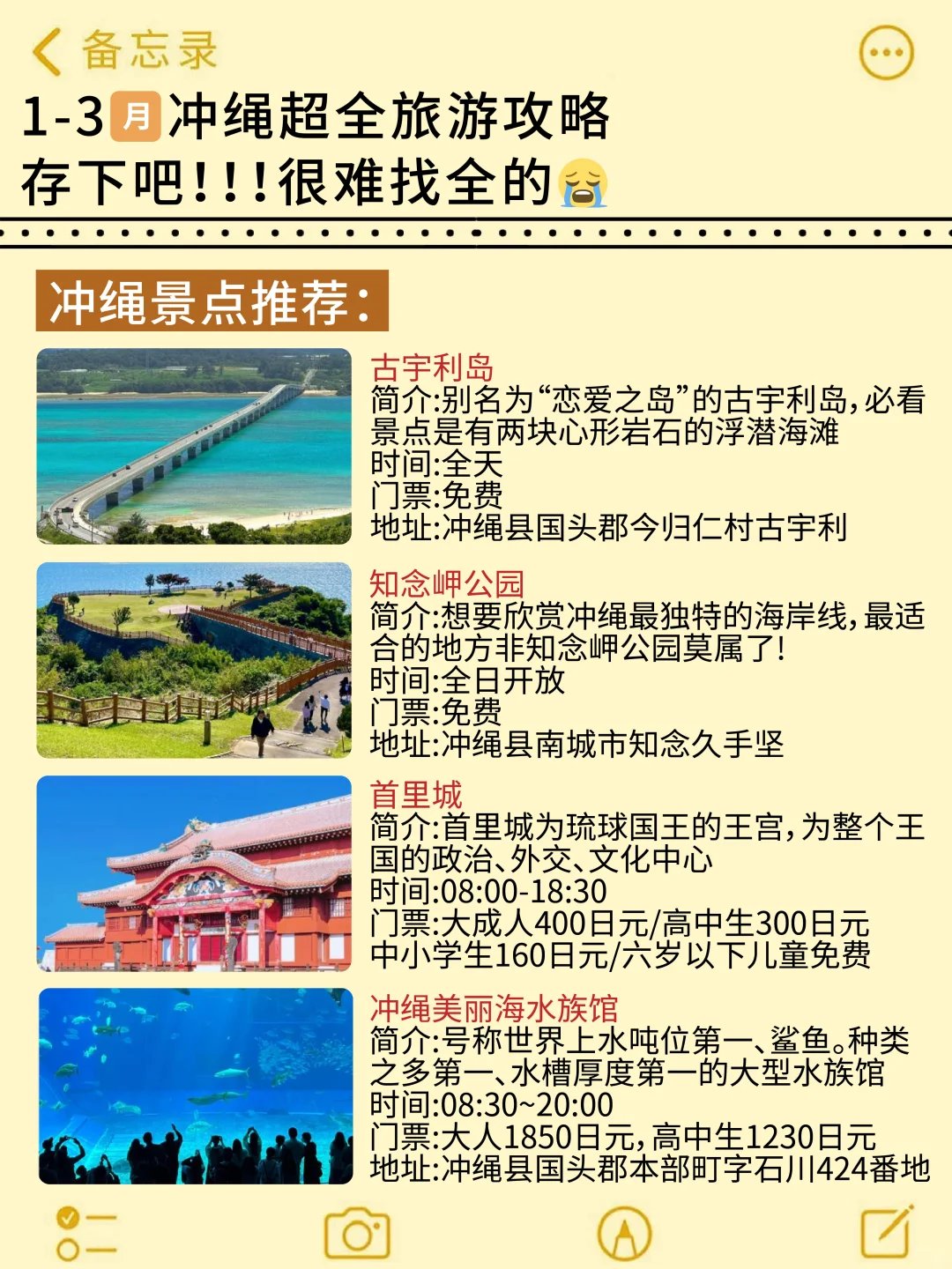 希望1-3月去冲绳的宝子👭都能刷到这篇‼️