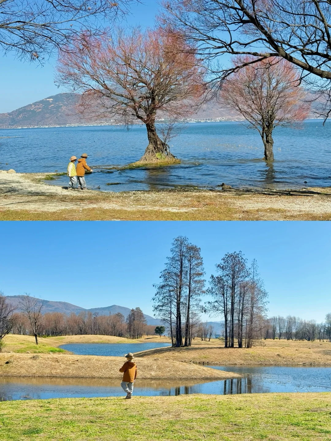 去大理之前❗️有人告诉我这些就好了😭。。