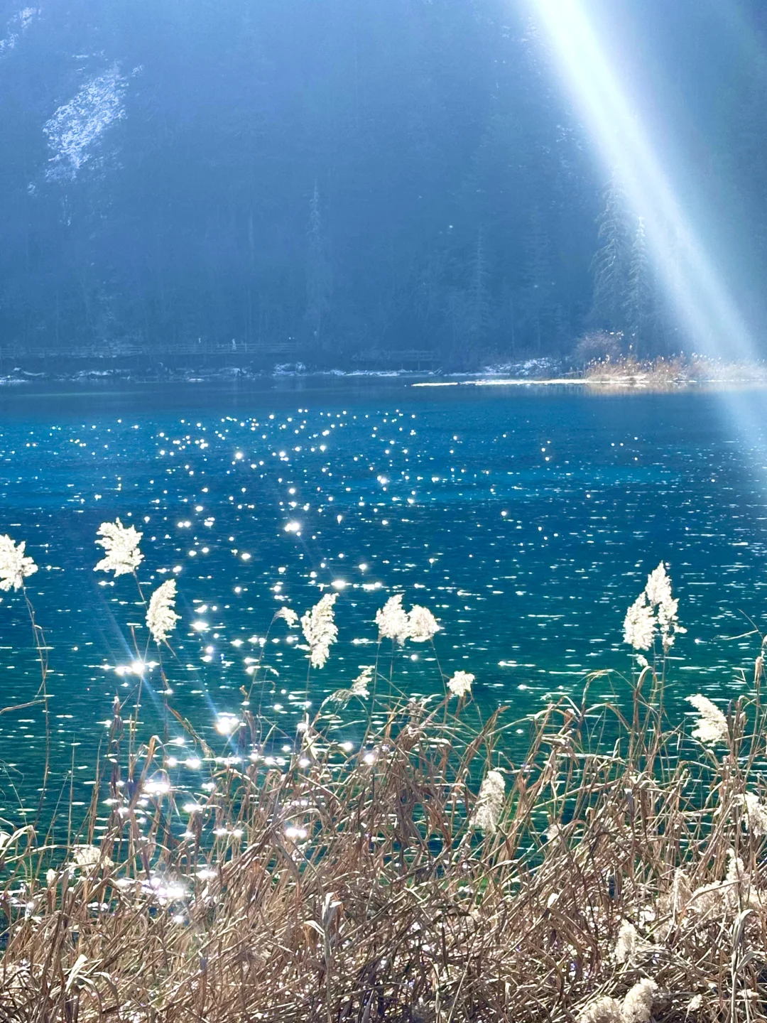 九寨沟旅游攻略✅分享给春节去旅游的姐妹❤️