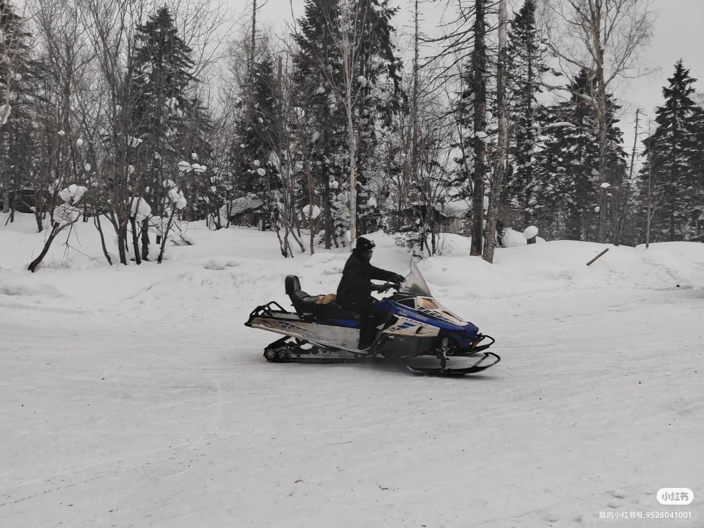 哈尔滨旅游攻略