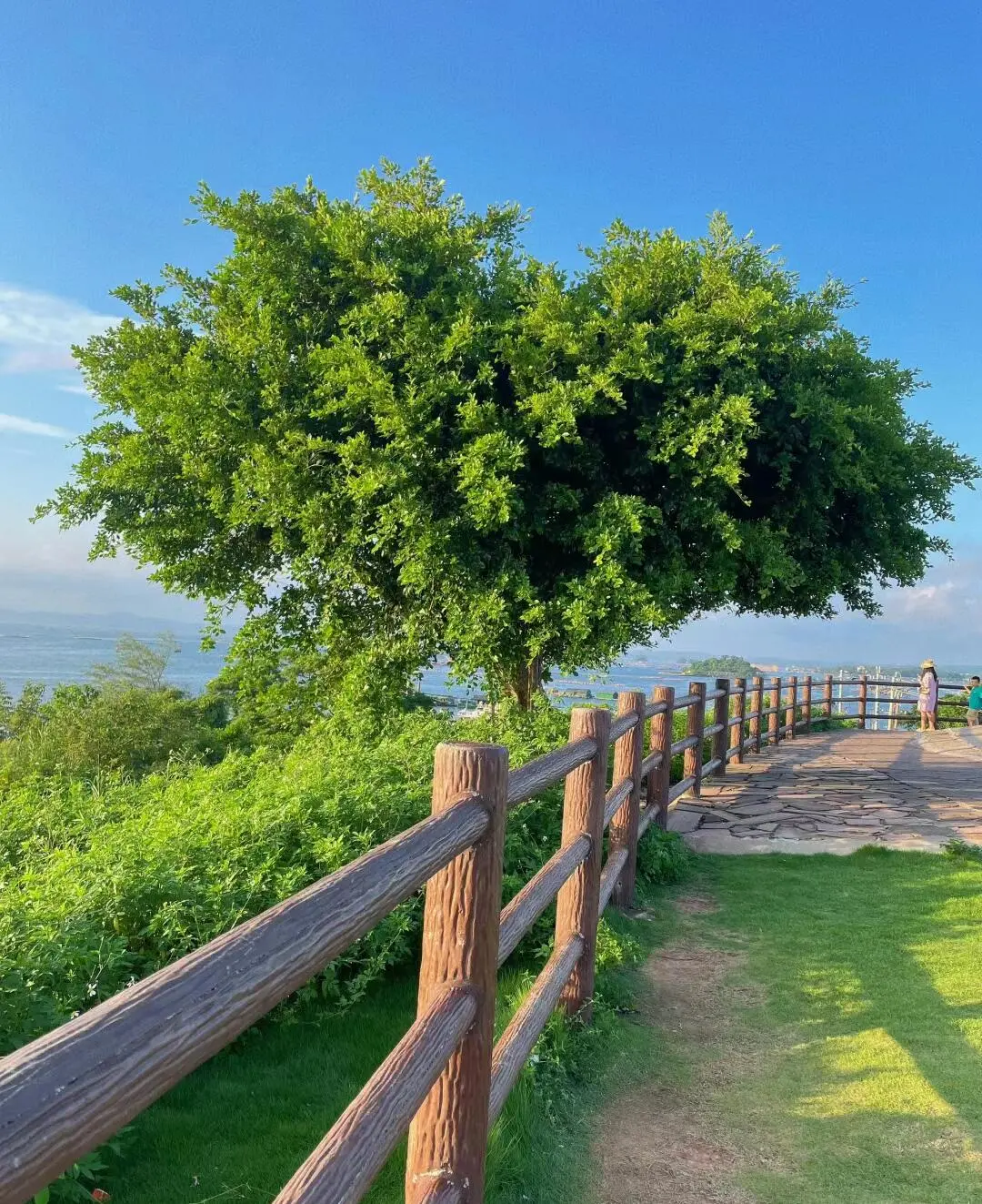 迄今为止，我最喜欢的海滨小城出现了🌴