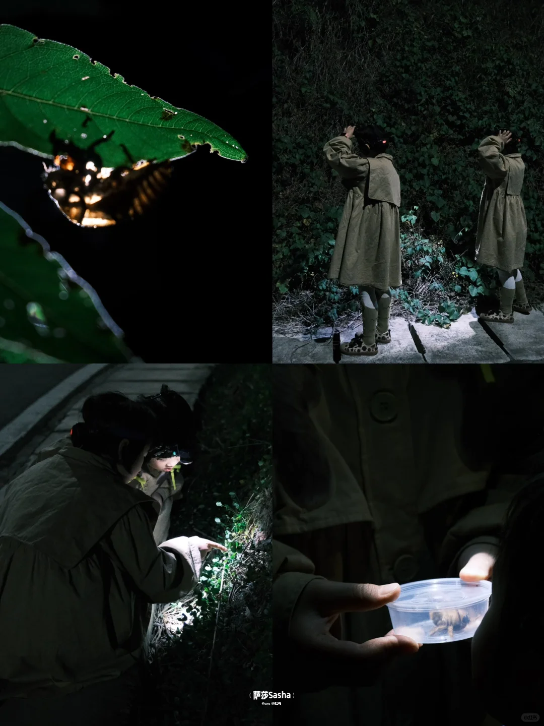 藏不住了‼️云南还有这么冷门适合遛娃的小城