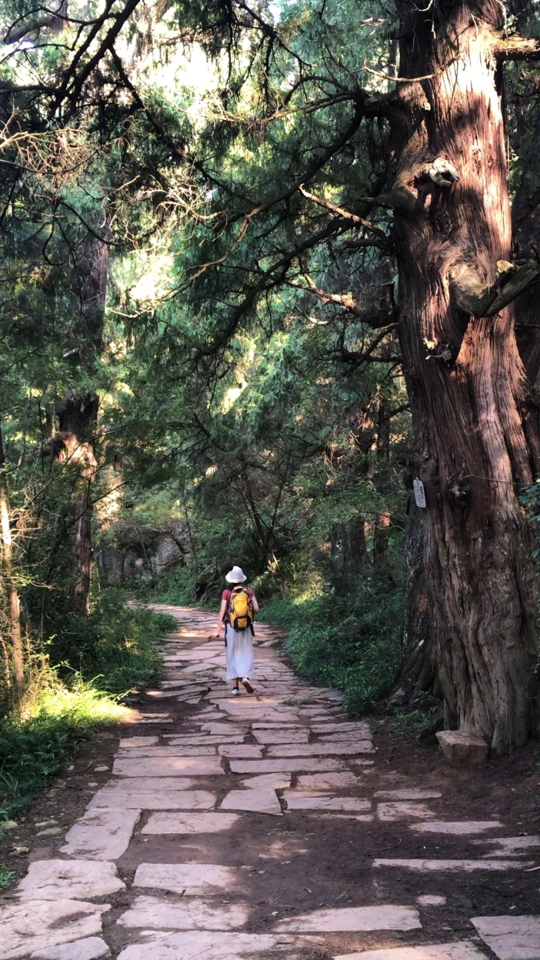 去了一百多个城市后觉得有意思的景点分享～