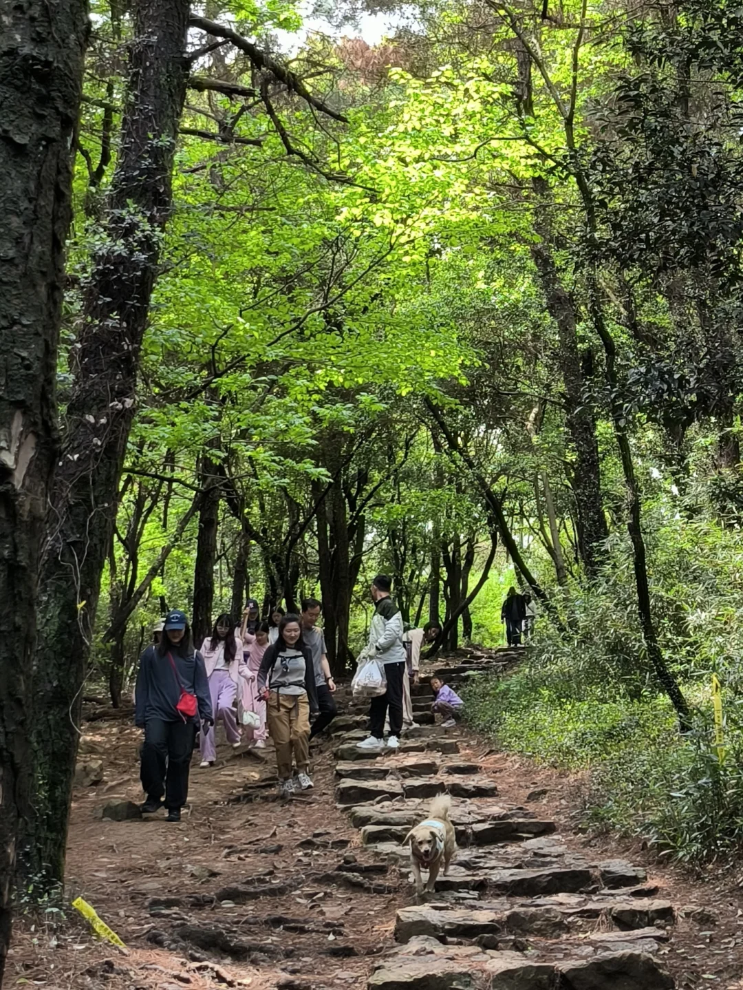 Collecting the sunset in Suzhou, China