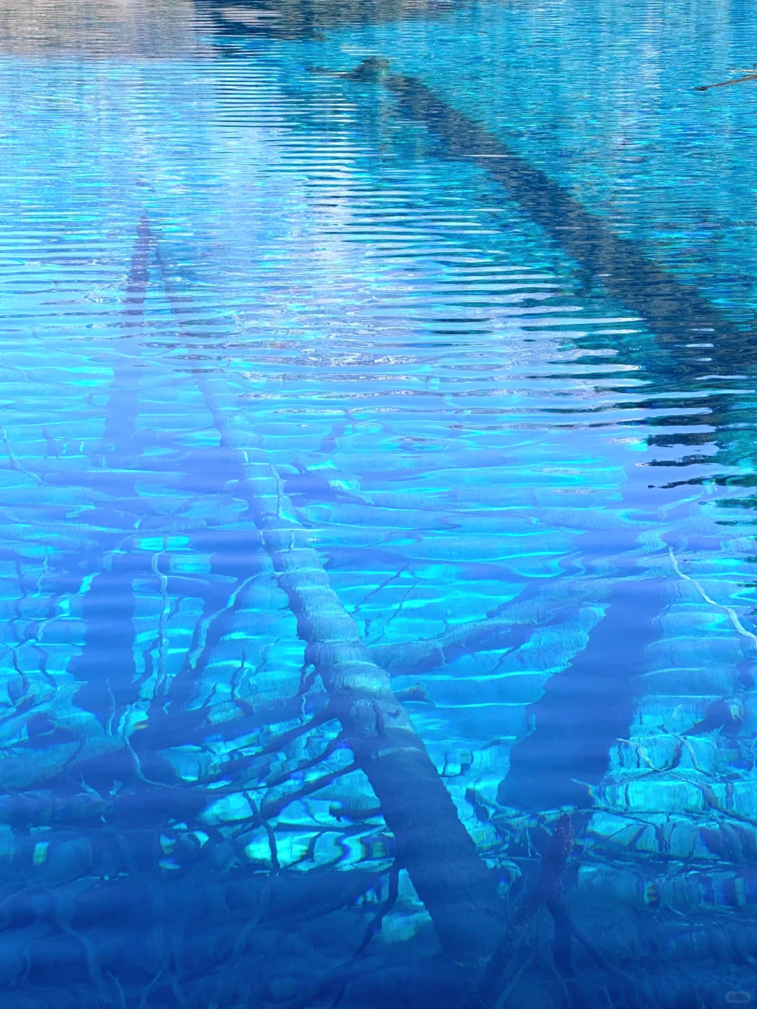 九寨沟旅游攻略✅分享给春节去旅游的姐妹❤️