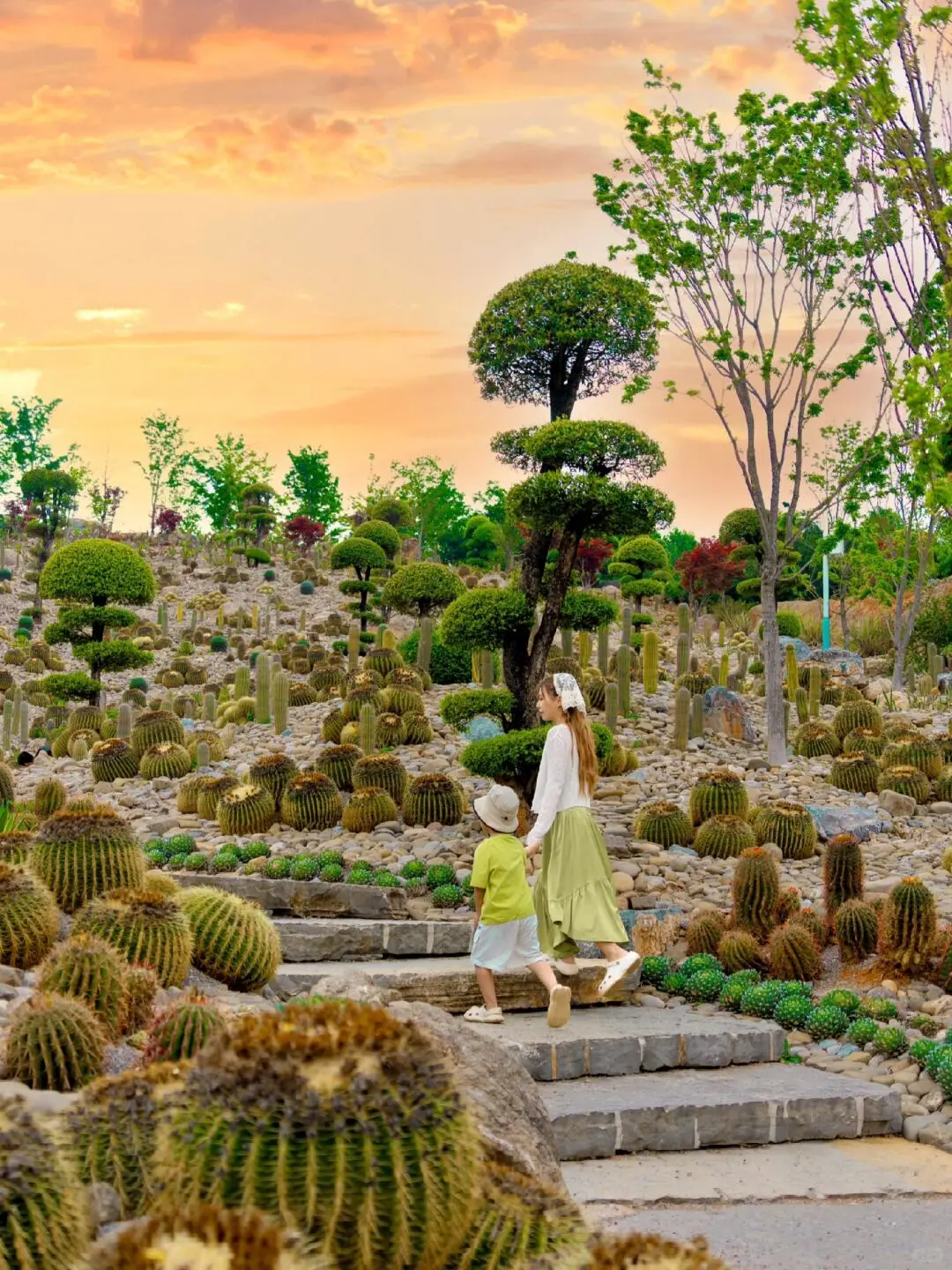 比起丽江大理，这才是云南冬天最佳旅行地！！