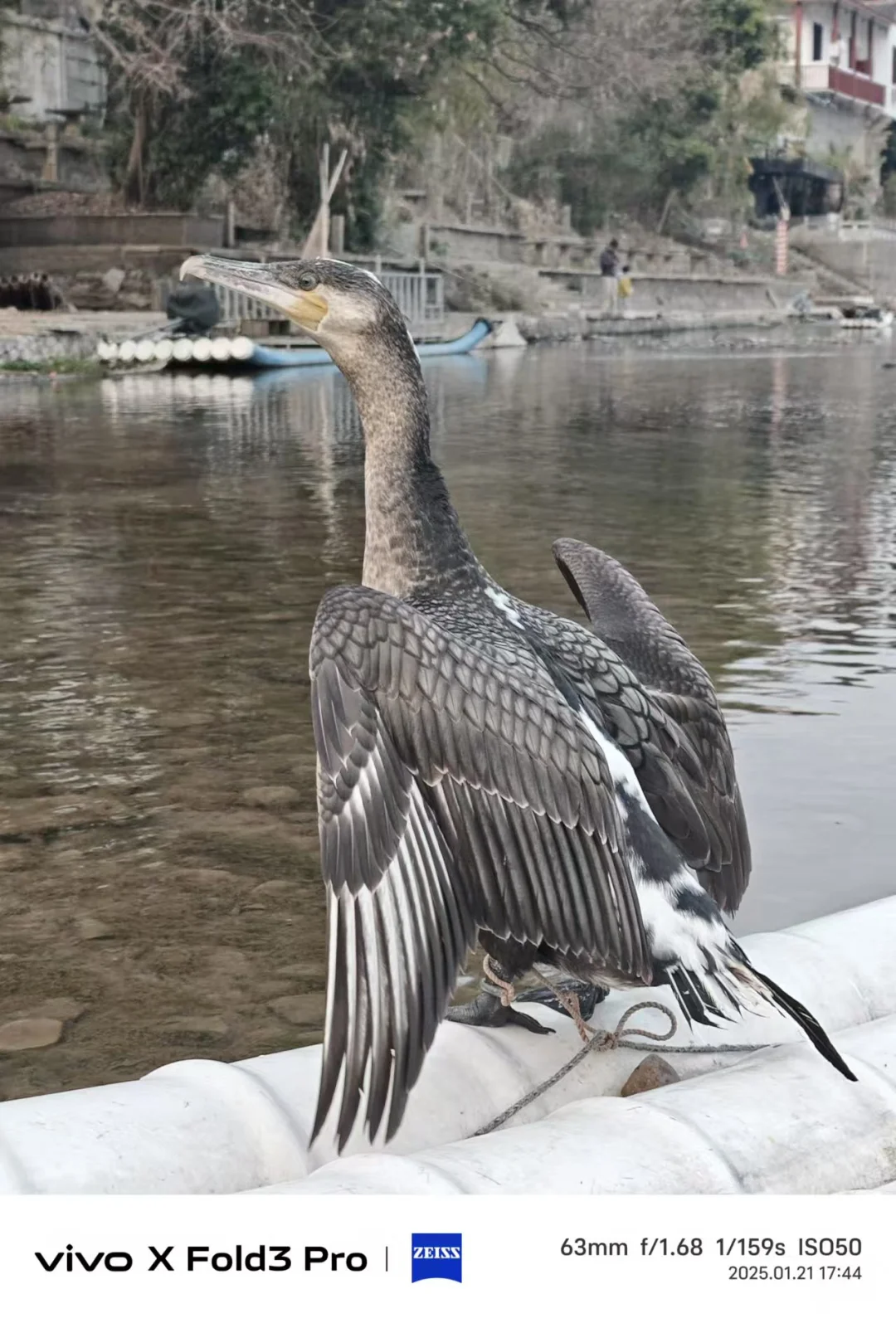 自驾一天阳朔➕兴坪镇➕约拍