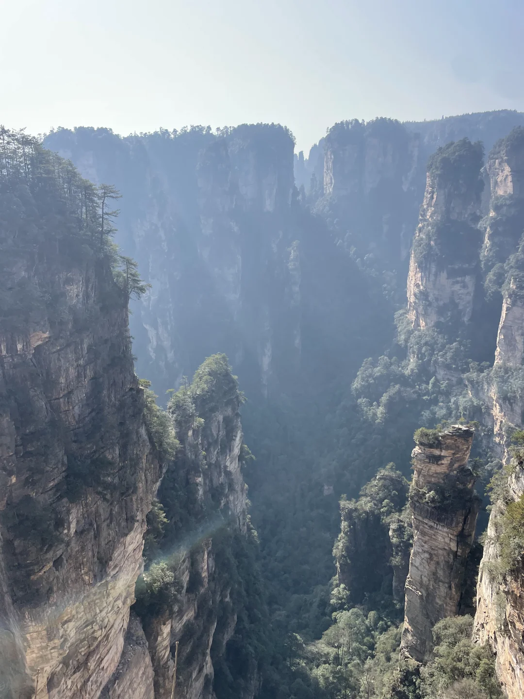 张家界国家森林公园不排队不费腿版