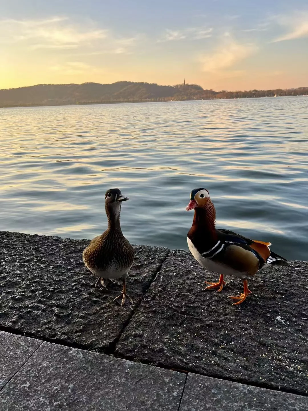 熬了个大夜~杭州旅游攻略准备好了