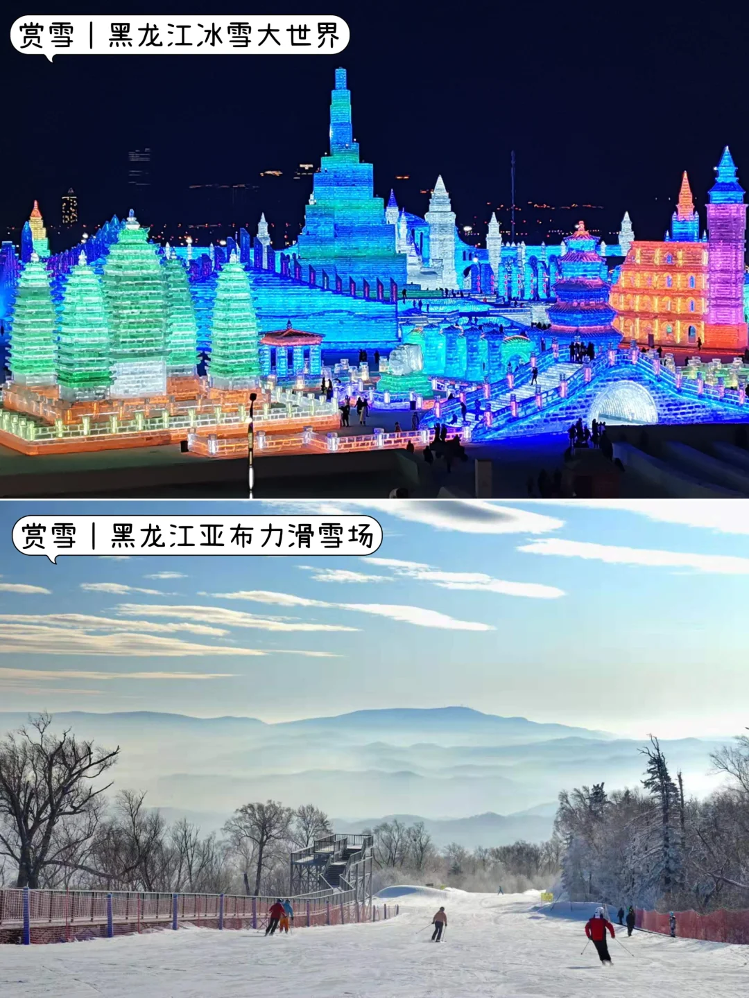 ✨12-2月不知道去哪玩？那就挑个最近的去吧