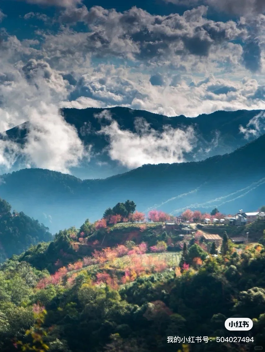 2025全年旅游报告