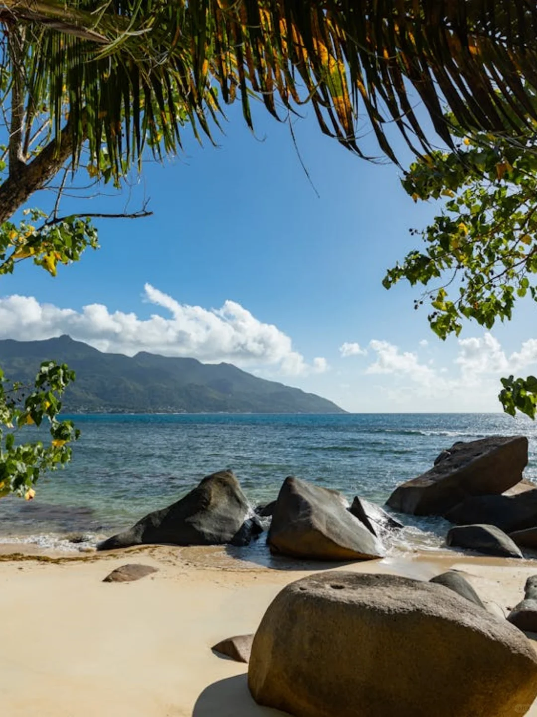 冬天不去看雪！这些浪漫海岛建议收藏！