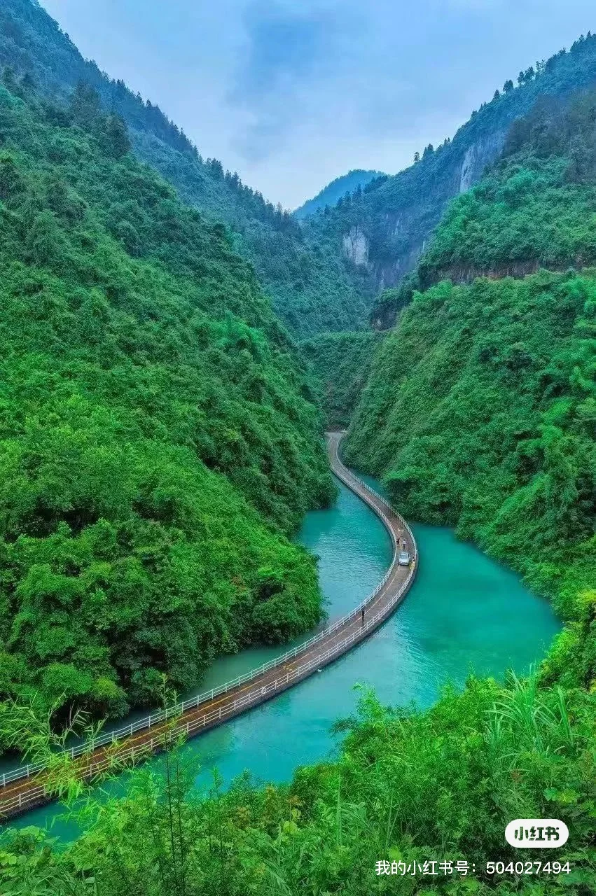 2025全年旅游报告