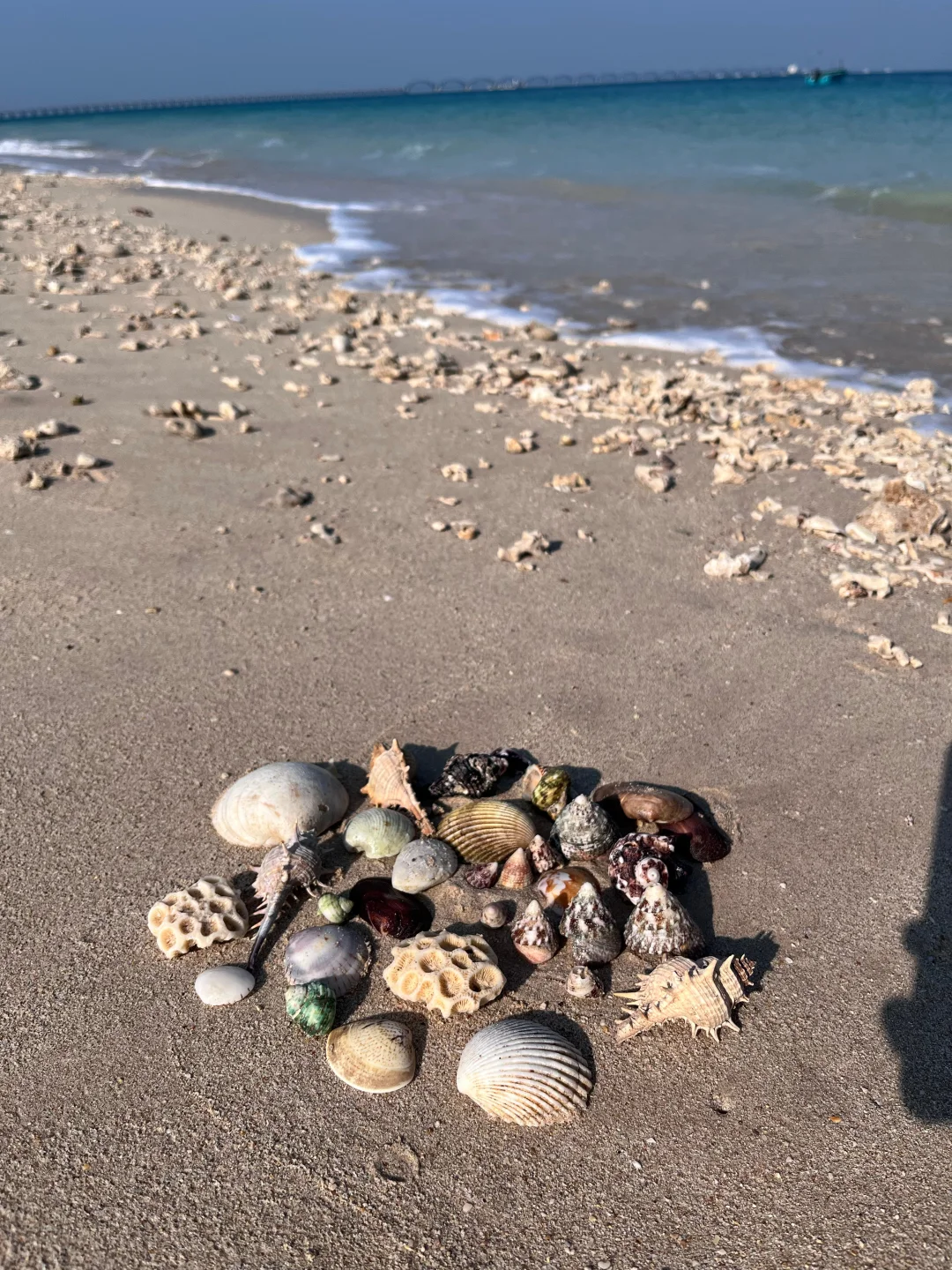 实话虽然难听……但这就是北海旅游现状😭