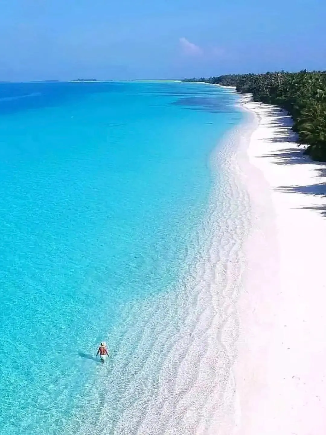 真心建议……春节就死磕斐济，便宜到怀疑人生
