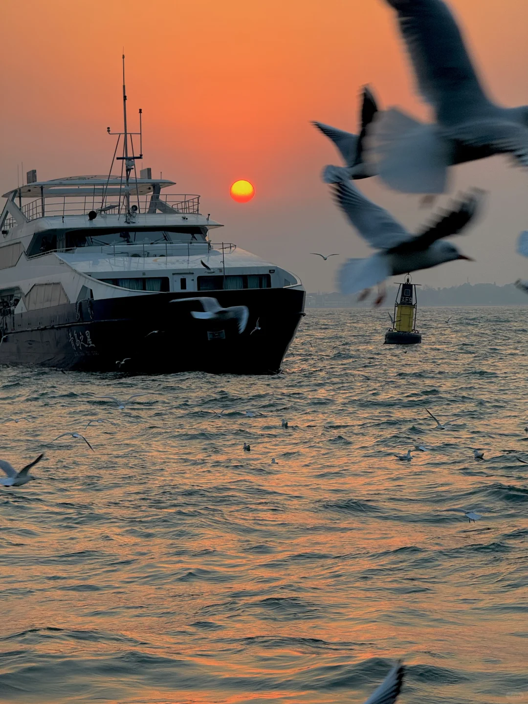 1.13青岛实况！！！落日封神了。。。。