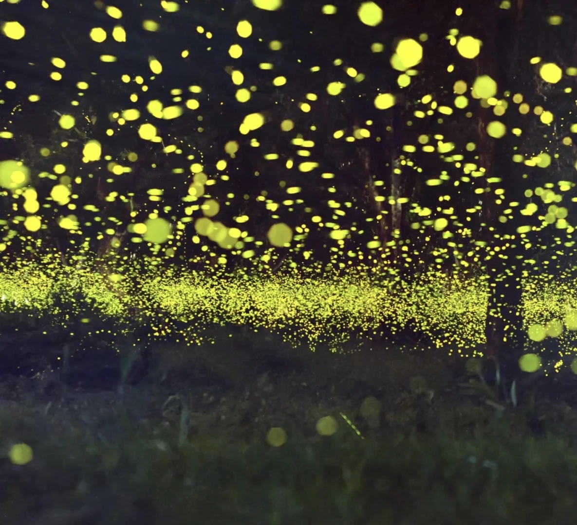 人生清单｜20+岁一定要探寻的梦幻之旅！