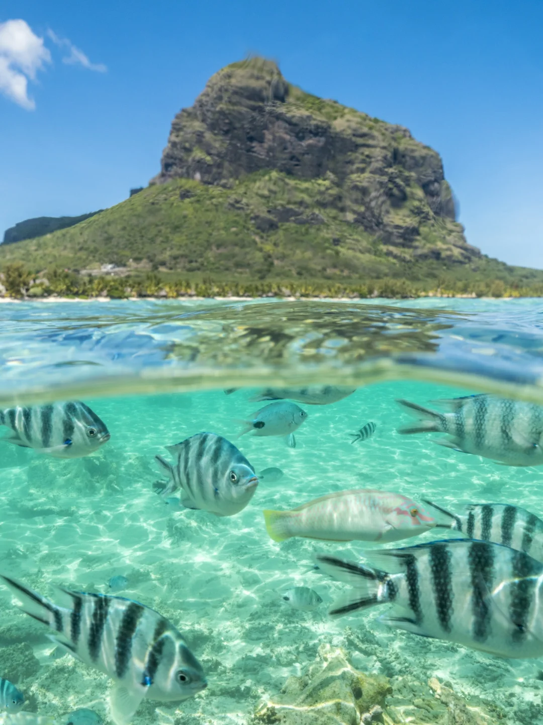 冬天不去看雪！这些浪漫海岛建议收藏！