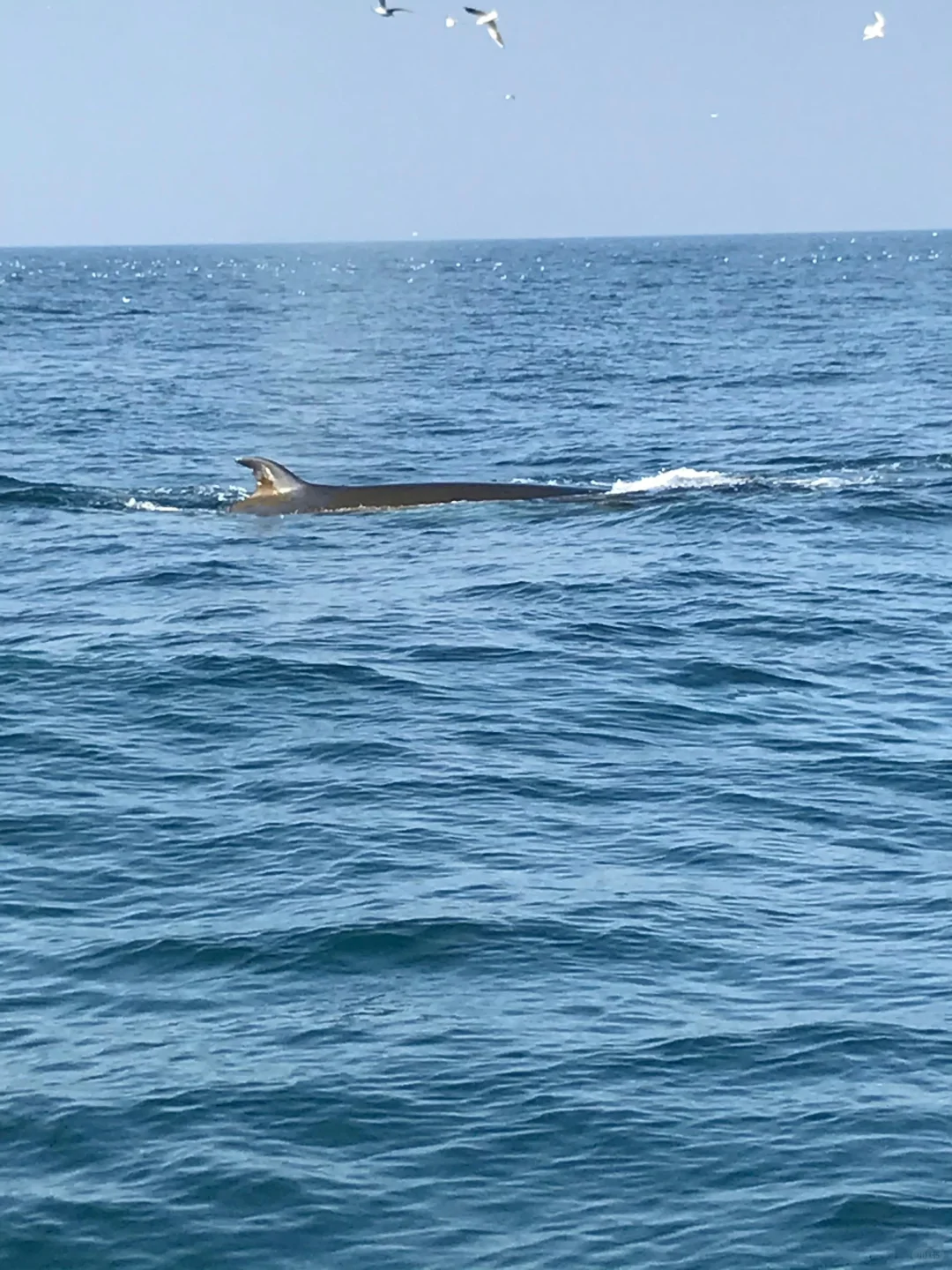 实话虽然难听……但这就是北海旅游现状😭