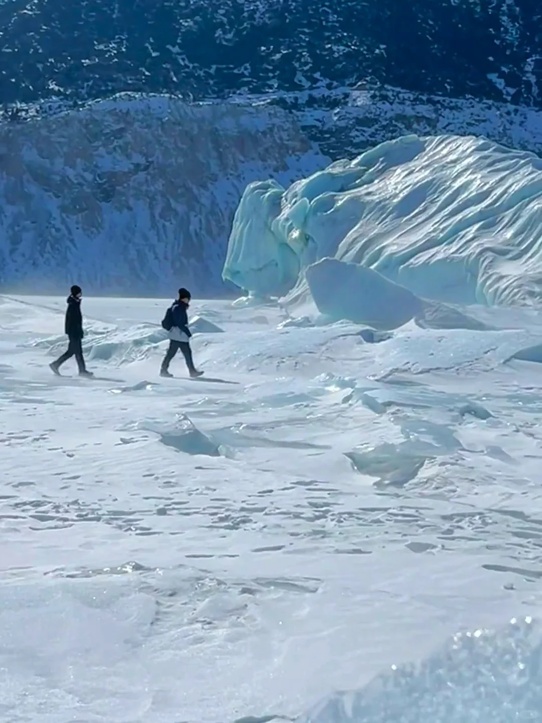 没想到‼️12月-2月才是来古冰川最佳观赏期！！