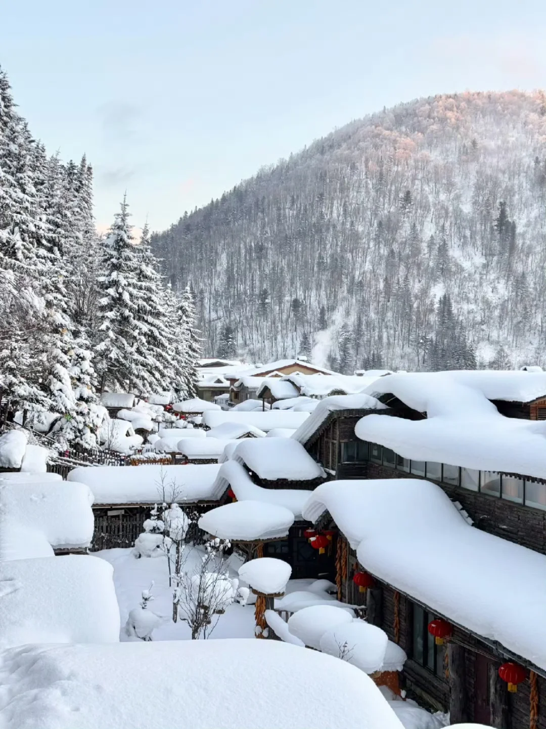 1.17📍哈尔滨已逃，崩溃了🥶说点大实话