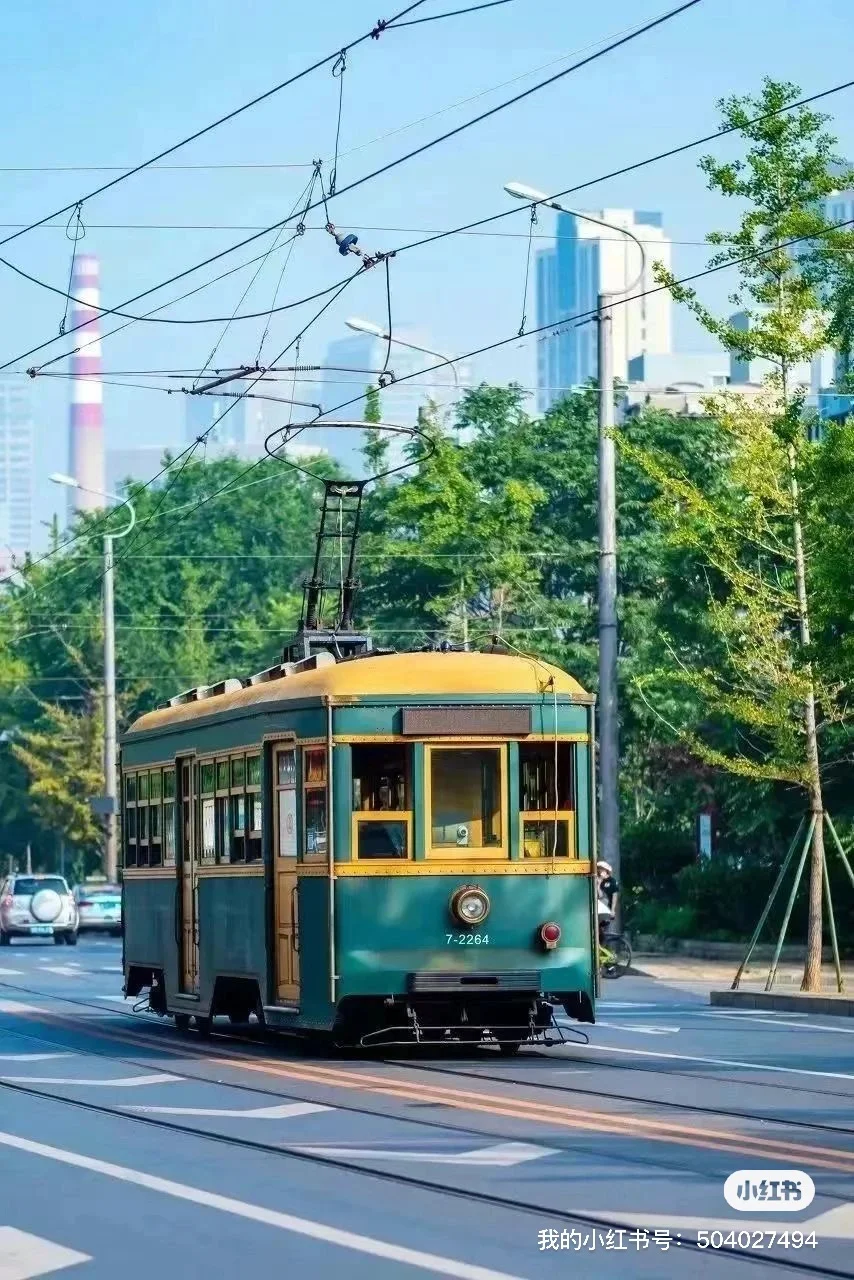 2025全年旅游报告