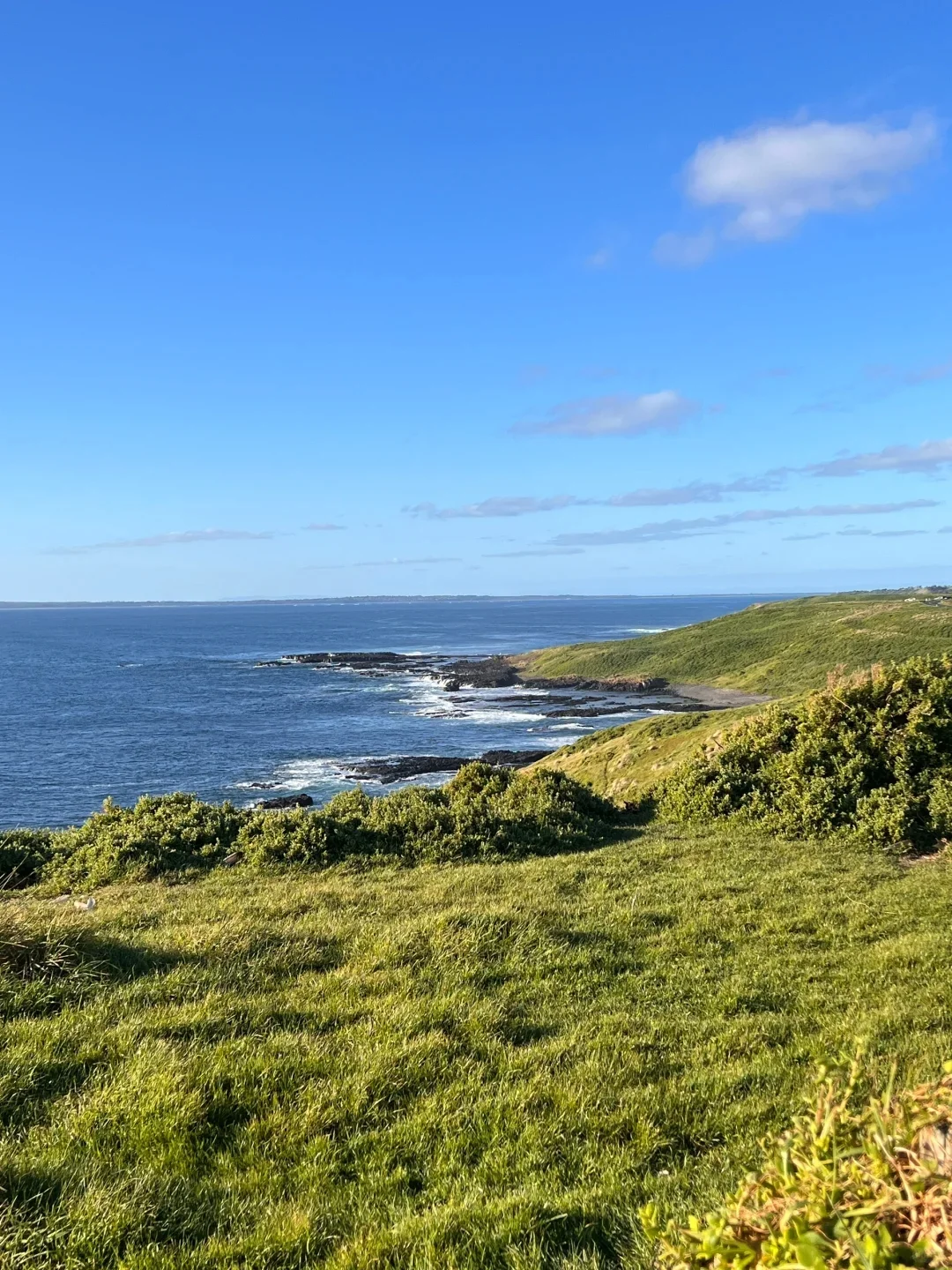 既然决定去澳大利亚，这些事情一定不要做..