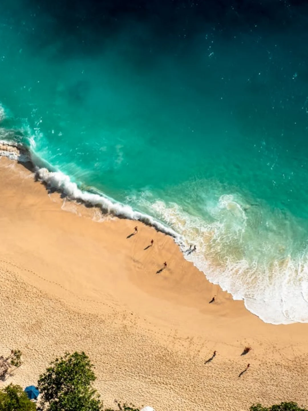 冬天不去看雪！这些浪漫海岛建议收藏！