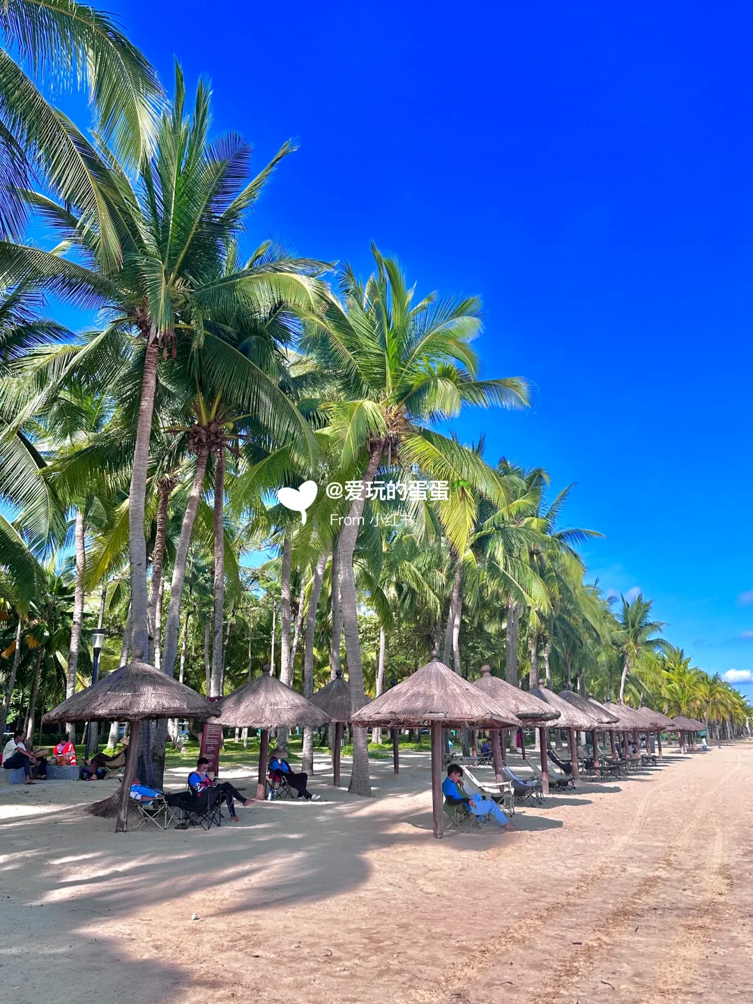 J人好恐怖啊…朋友做的三亚攻略震撼到我了😅