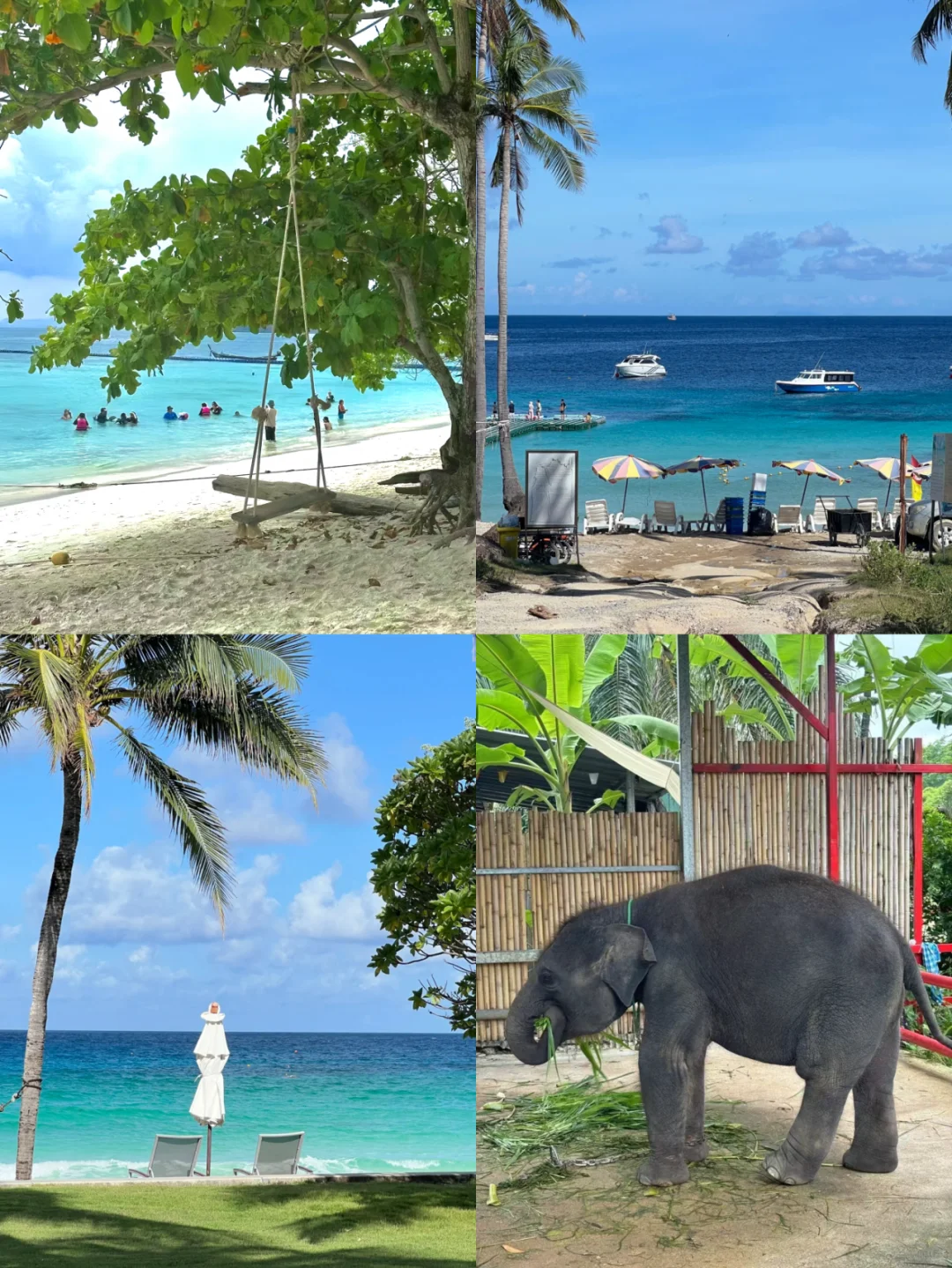 🔥今年假期就去这4个免签海岛度假 不出错