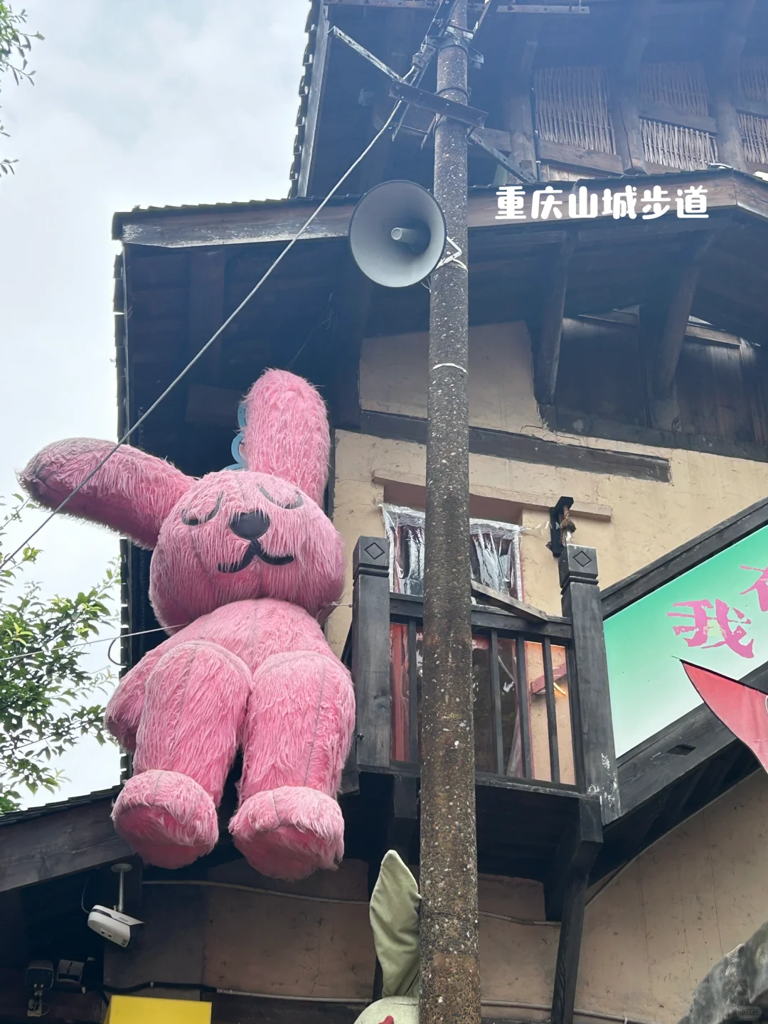 教师日常｜27岁的我对旅游彻底祛魅了😢