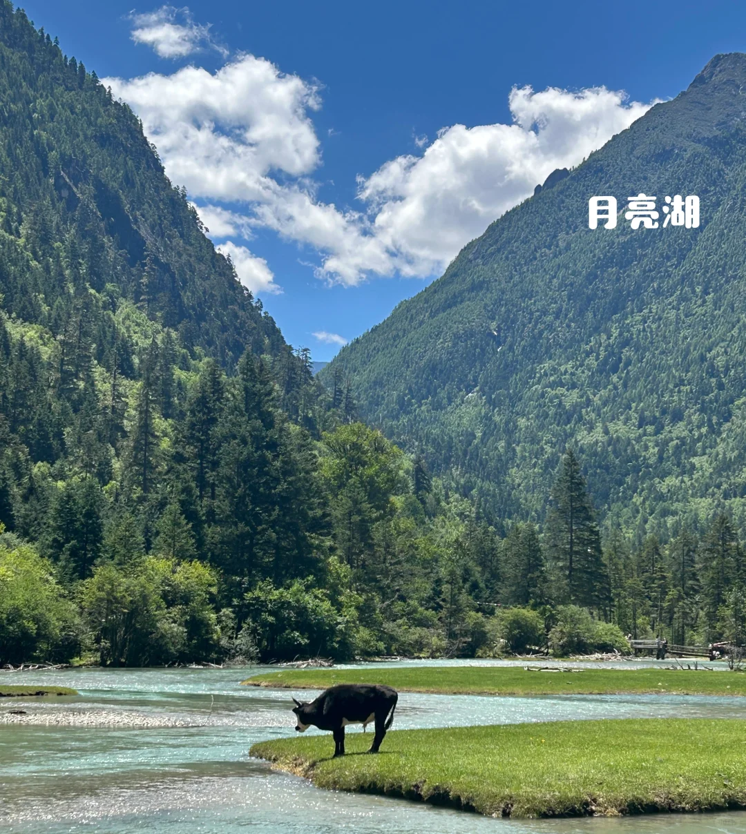 教师日常｜27岁的我对旅游彻底祛魅了😢