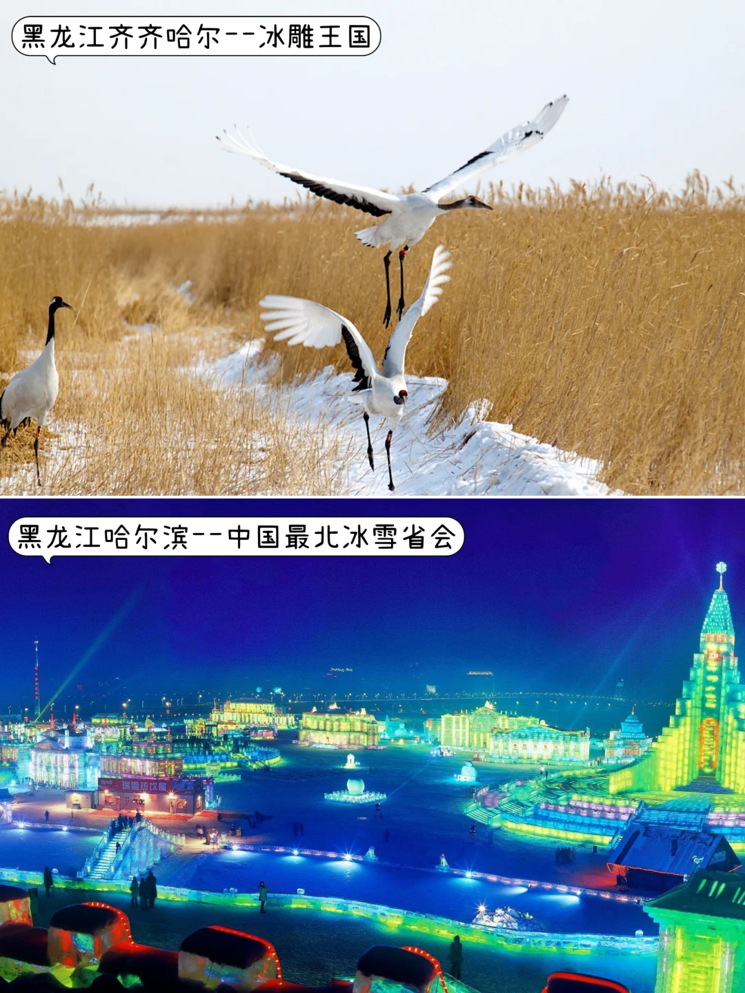 ✨适合春节旅游二十个城市，找个最近的去吧