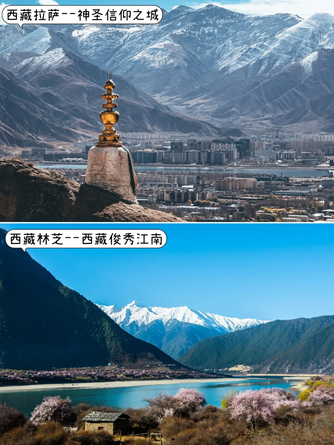 ✨适合春节旅游二十个城市，找个最近的去吧