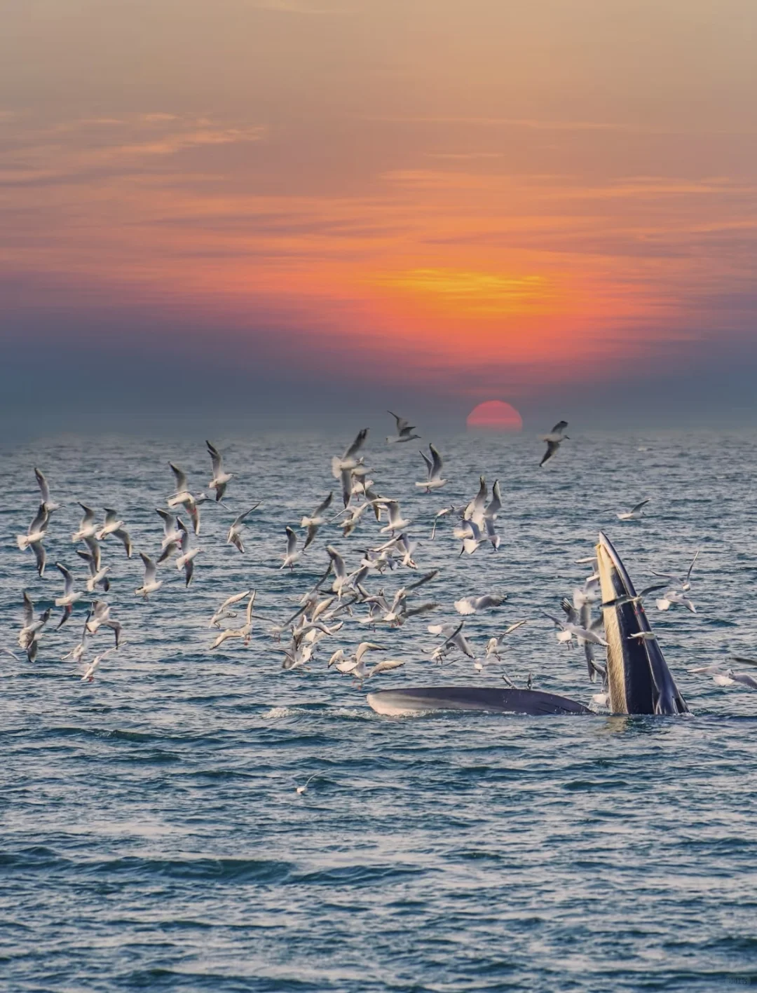 人生清单｜20+岁一定要探寻的梦幻之旅！