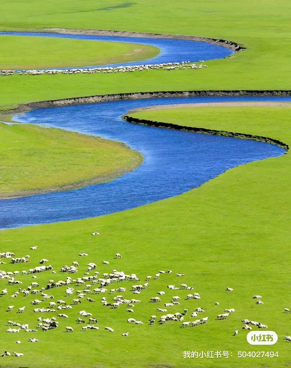 2025全年旅游报告