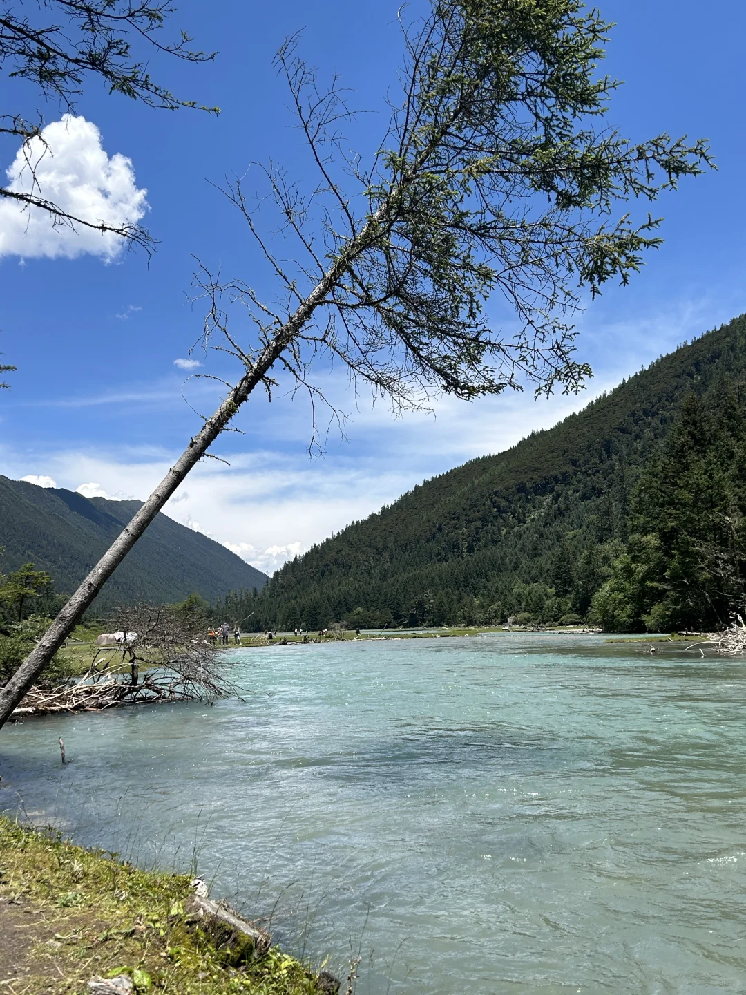 教师日常｜27岁的我对旅游彻底祛魅了😢