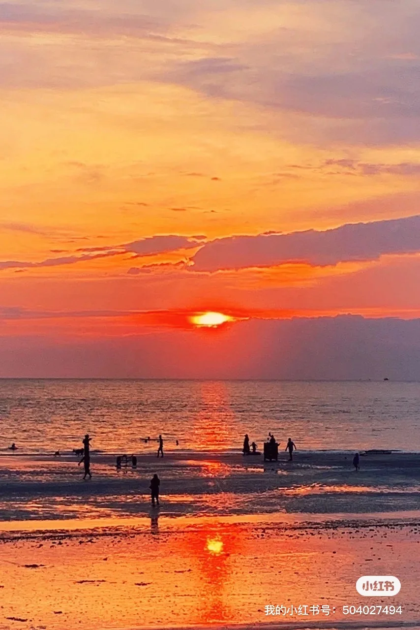 2025全年旅游报告