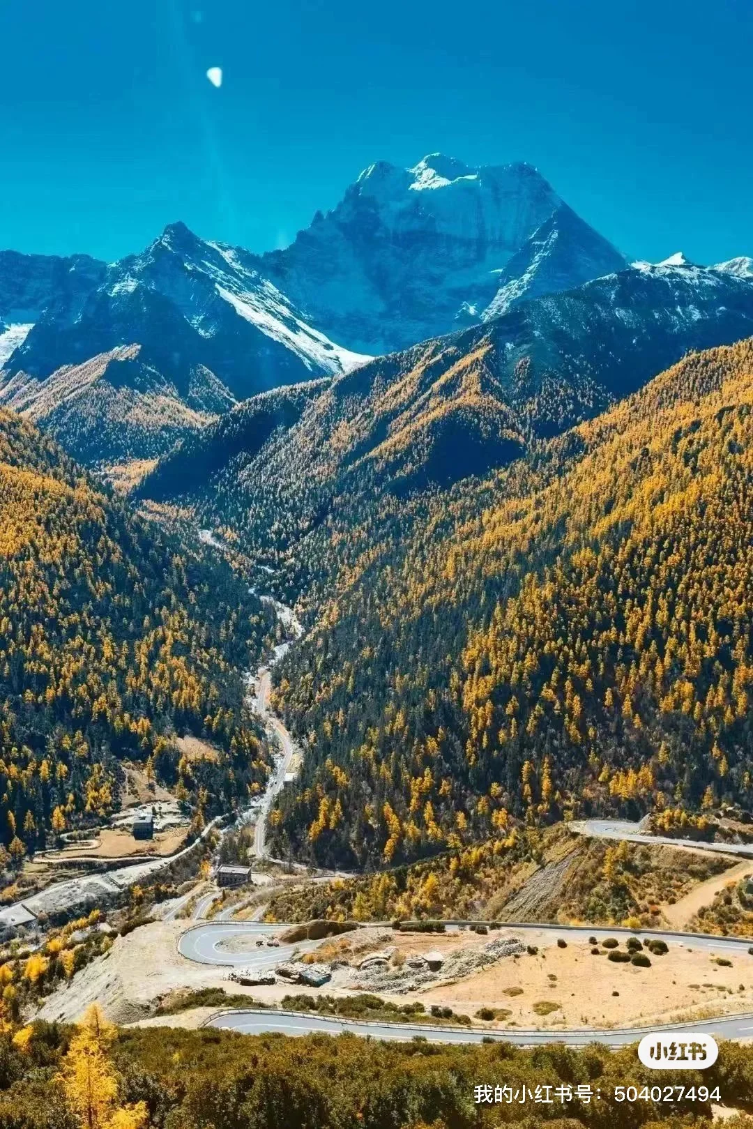 2025全年旅游报告