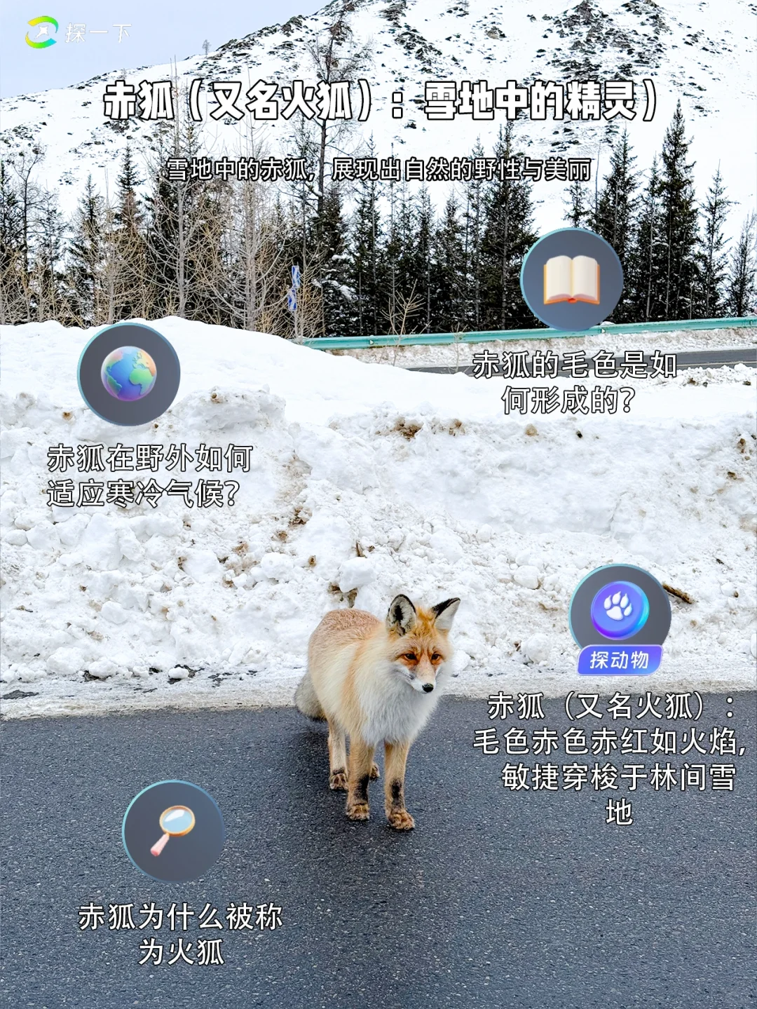 旅游博主压箱底分享❗春节出游一定要看