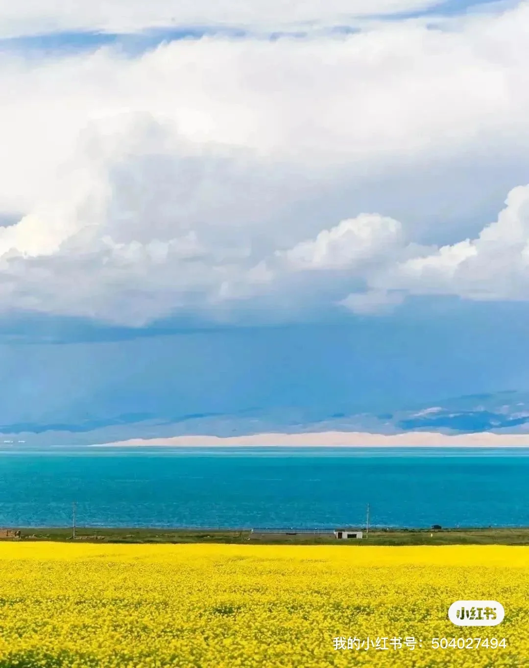 2025全年旅游报告