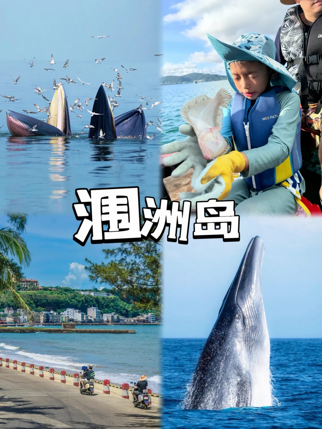 2024寒假亲子游🎈4-15岁宝藏目的地推荐