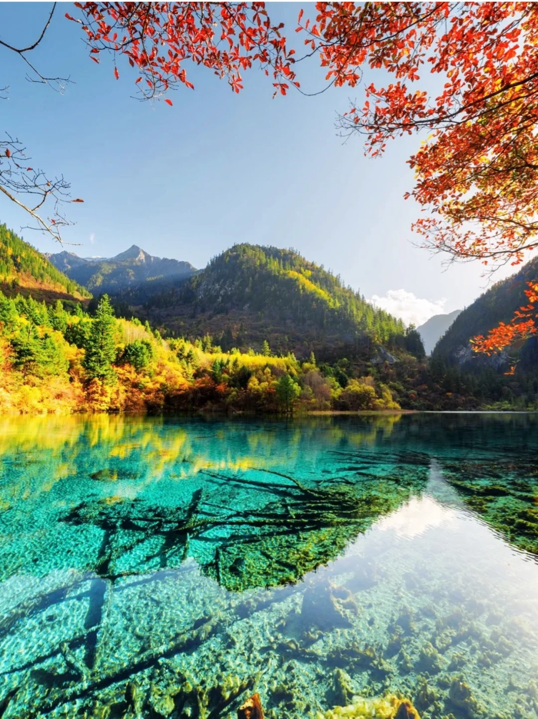 2024国内旅游清单|每个月适合去的旅行