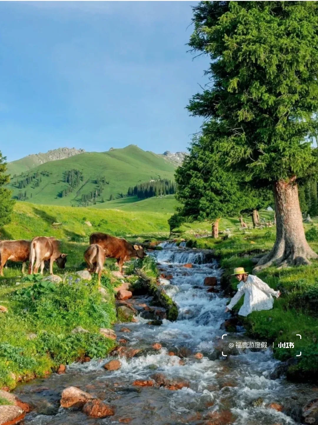 2024国内旅游清单|每个月适合去的旅行