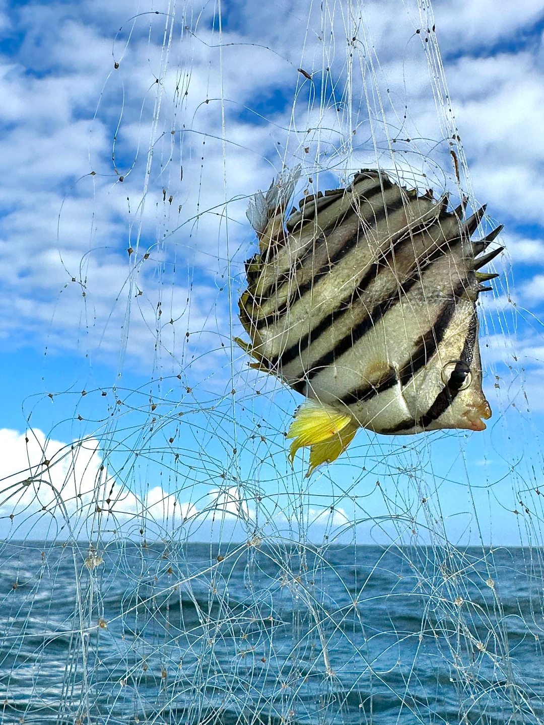 实话虽然难听……但这就是北海旅游现状😭