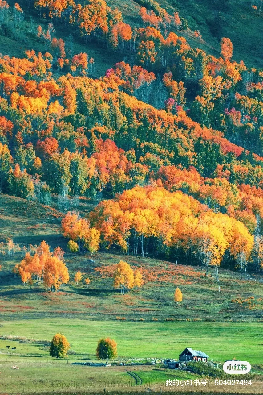 2025全年旅游报告