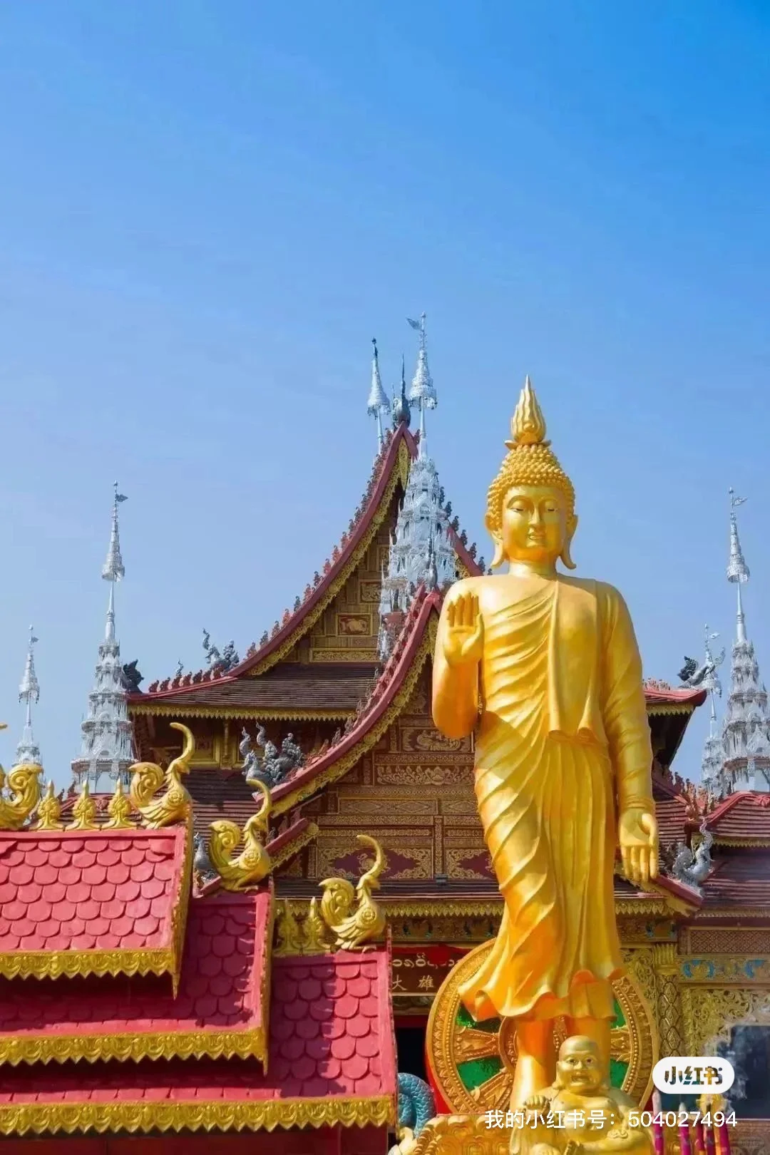 2025全年旅游报告