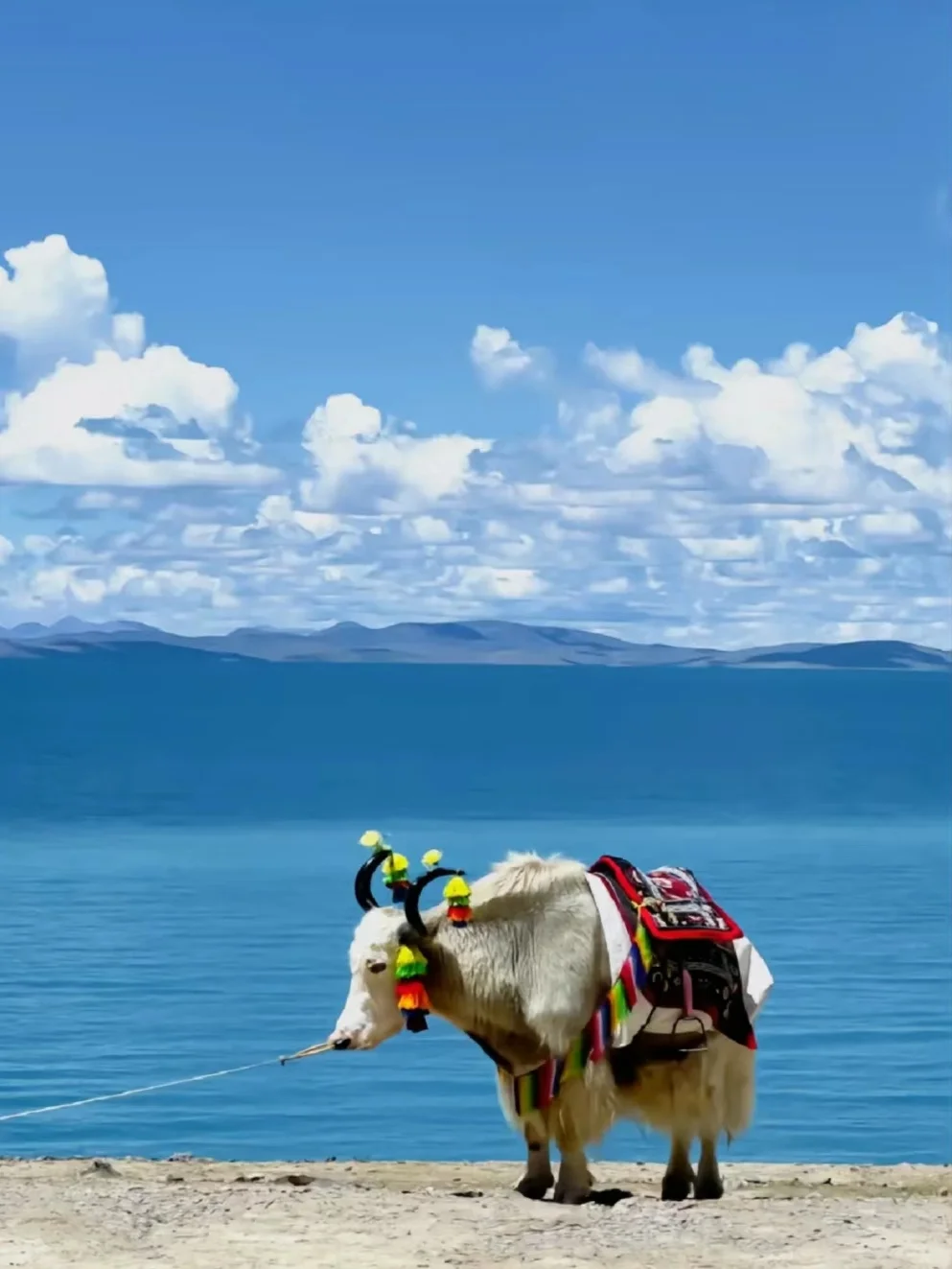 和男友西藏已回，说点得罪人的大实话。。。